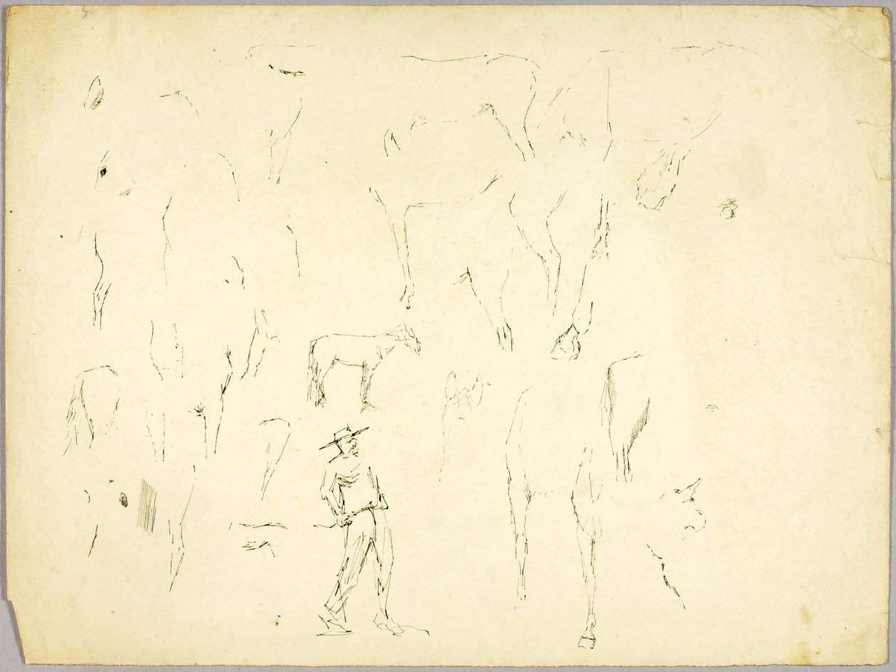 Paard Studie door Solon H. Borglum