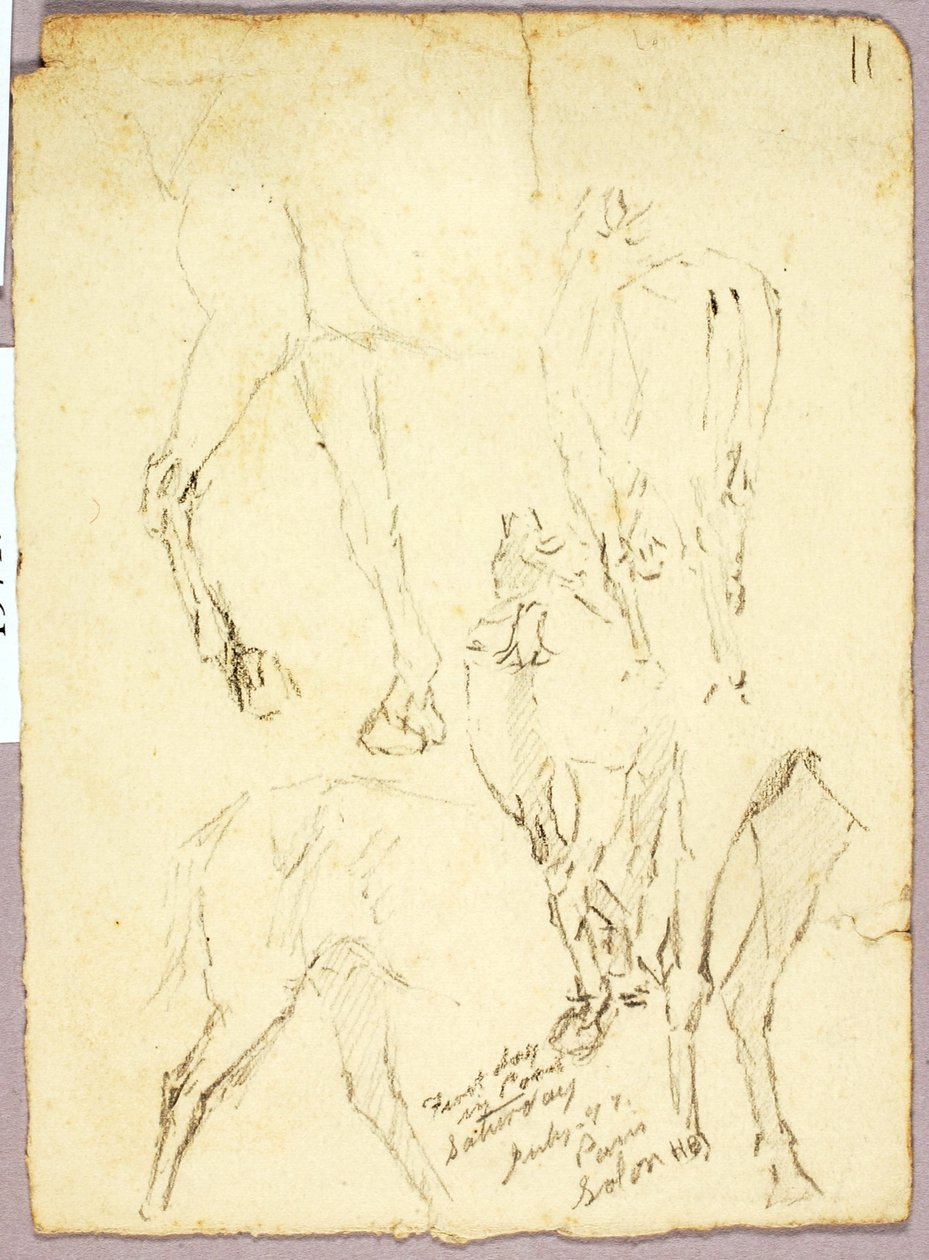 Paarden door Solon H. Borglum