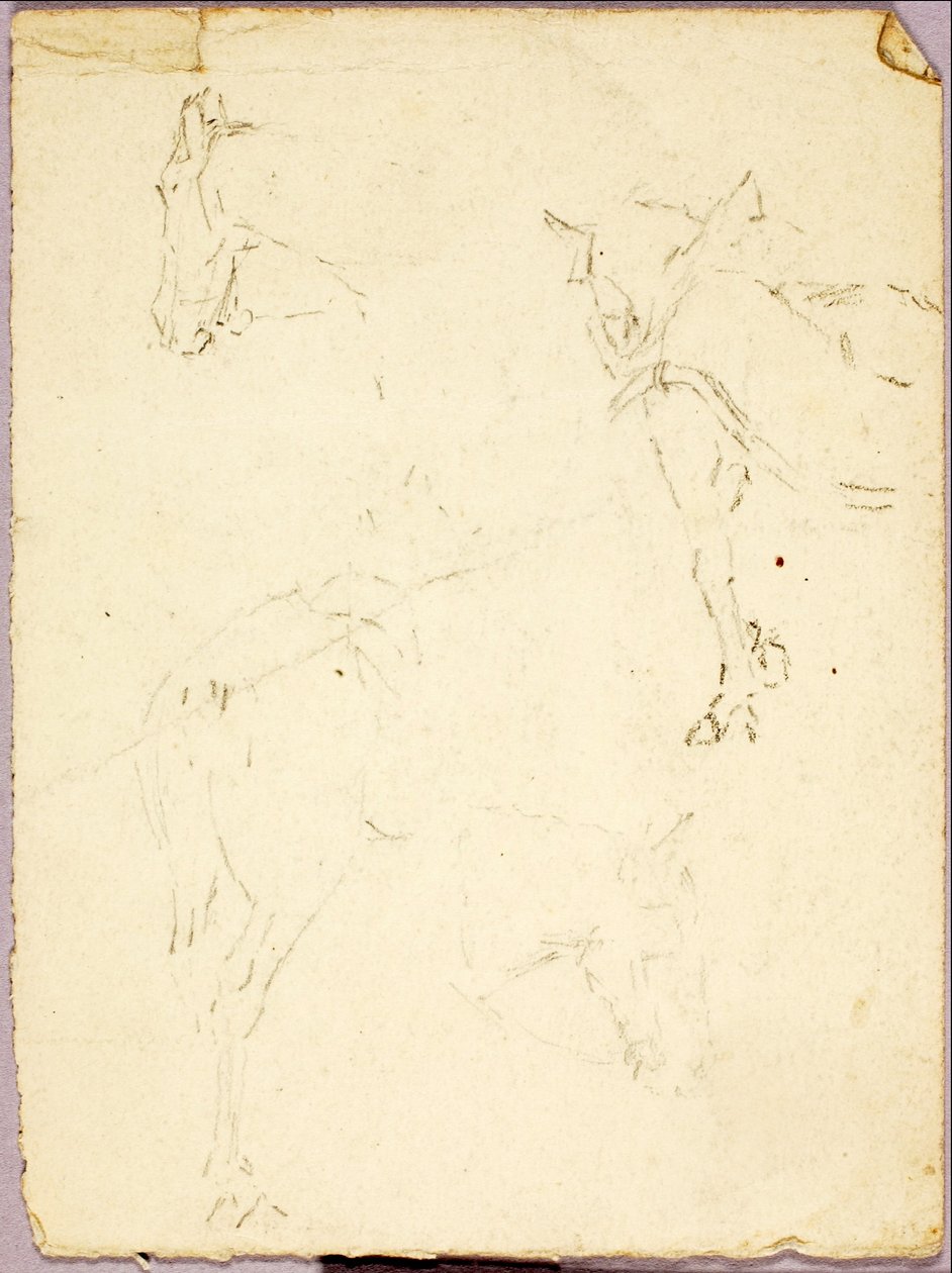 Paarden door Solon H. Borglum