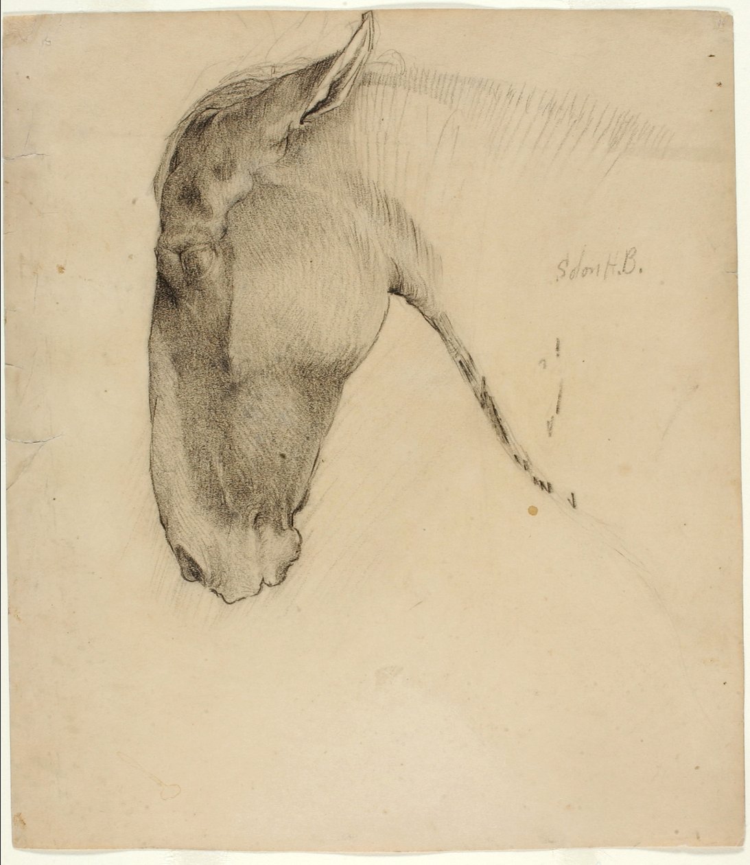 Paardenhoofd door Solon H. Borglum
