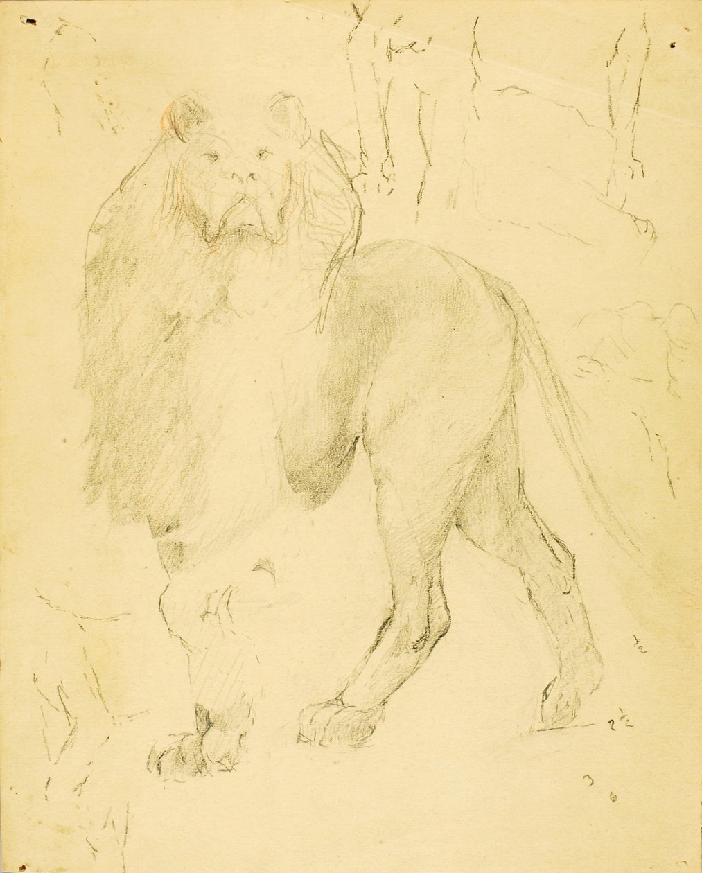 Leeuw door Solon H. Borglum