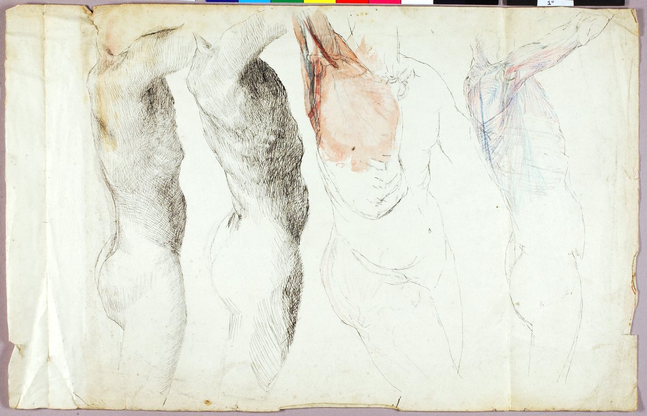 Naaktstudies door Solon H. Borglum