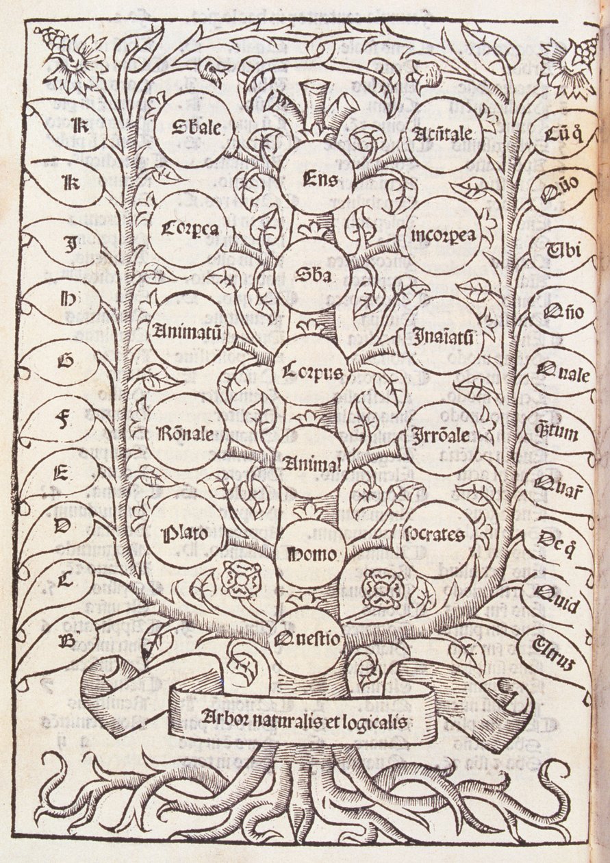 Hemelse ladder uit 