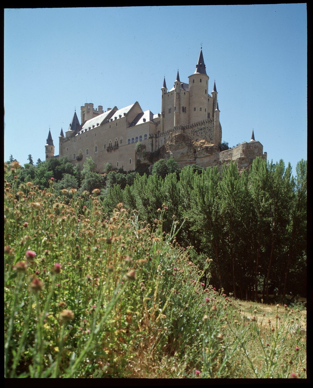Uitzicht op het alcazar door Spanish School