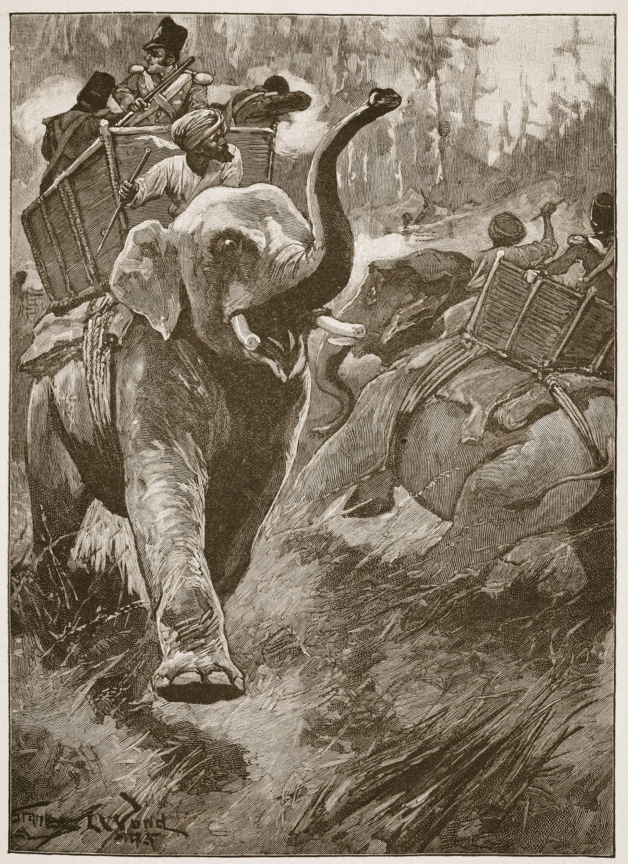 De geschrokken olifanten renden terug door het bos, illustratie uit 