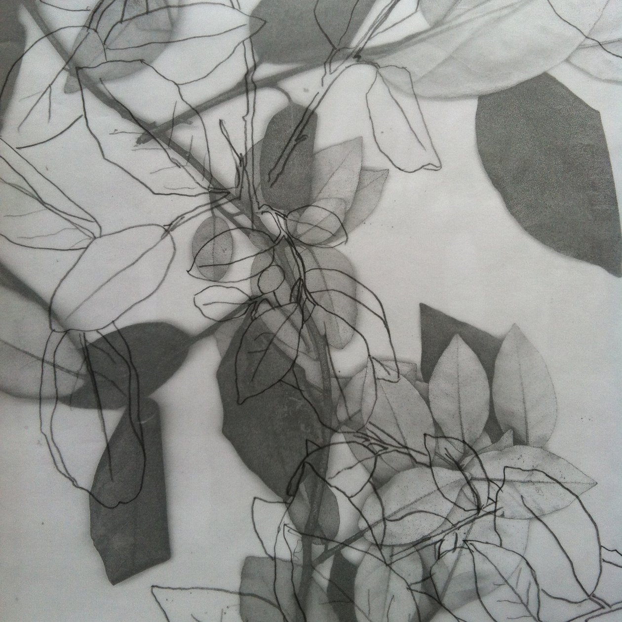 Botanisch, 2014 (digitaal) door Stephen Dow