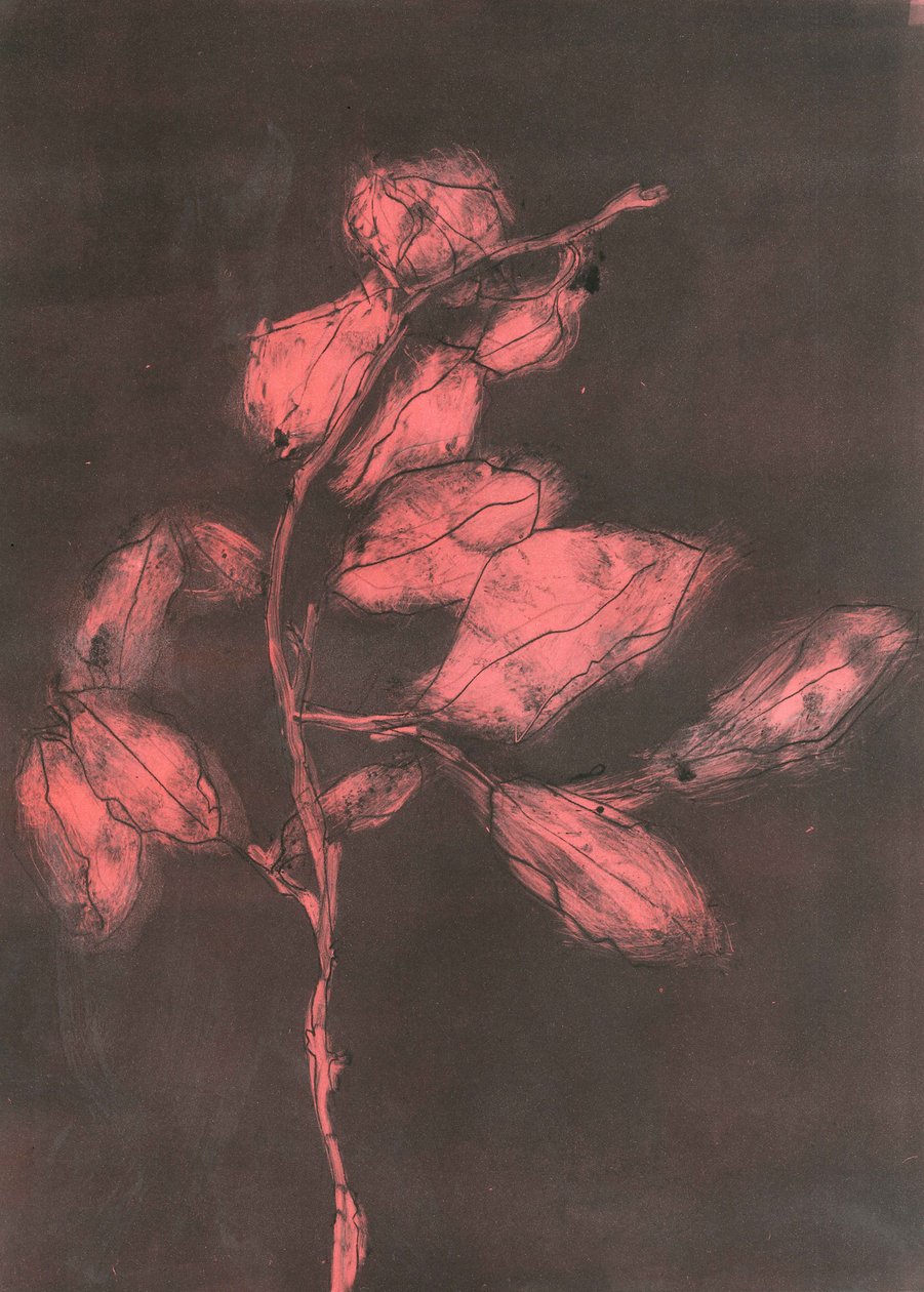 Loof I, 2015 (monoprint op papier) door Stephen Dow