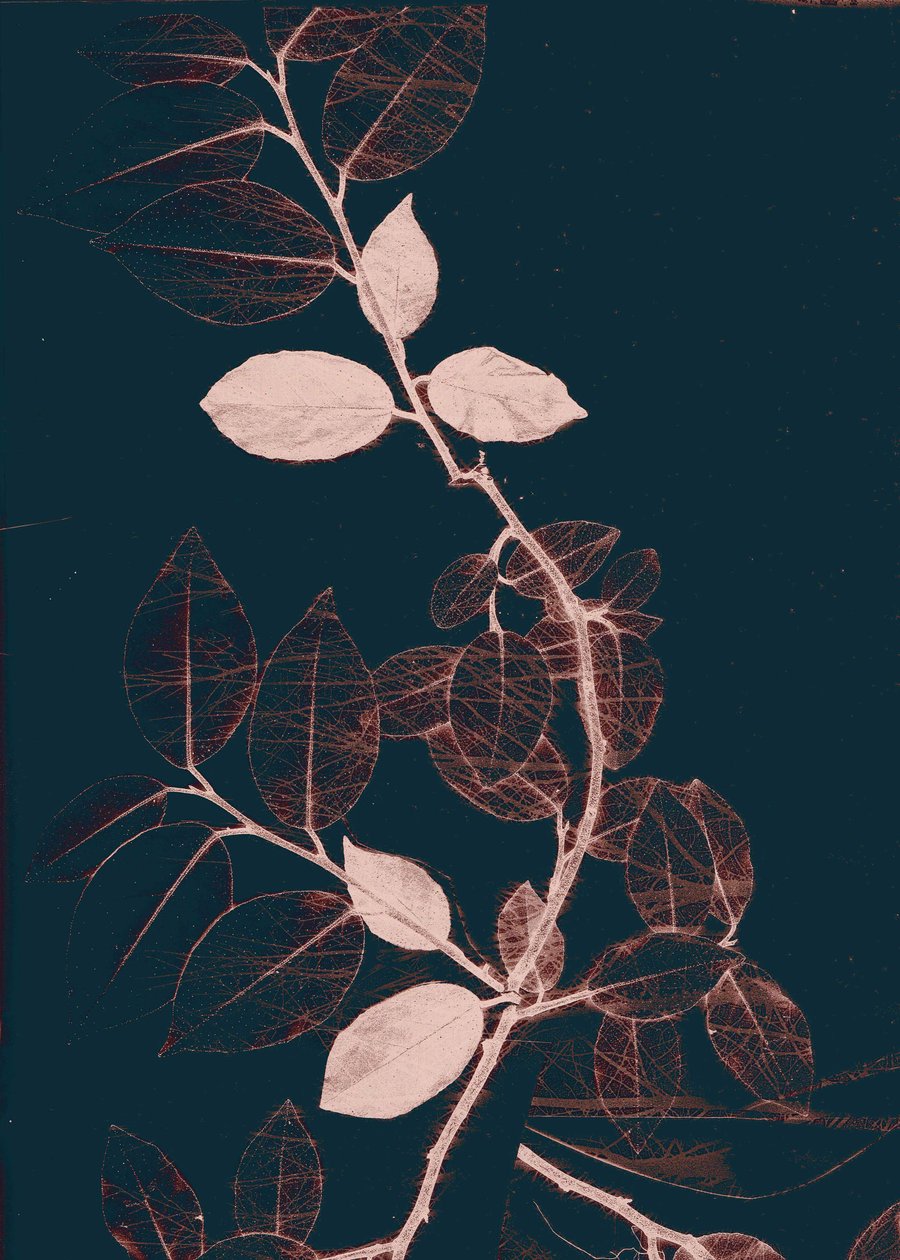 Freyr VII Donker Koper, 2018 (digitaal) door Stephen Dow