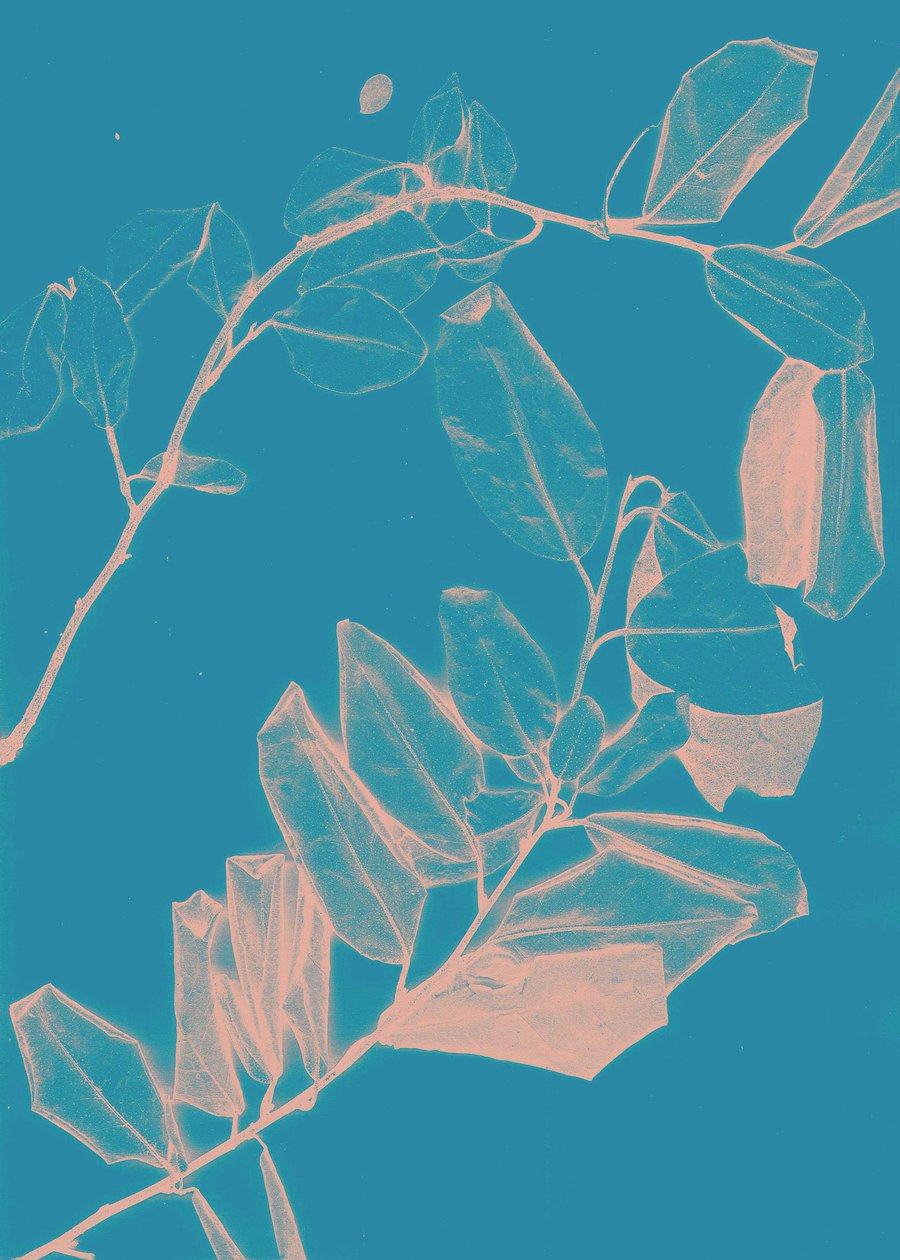 Freyr VI Dageraad, 2018 (digitaal) door Stephen Dow
