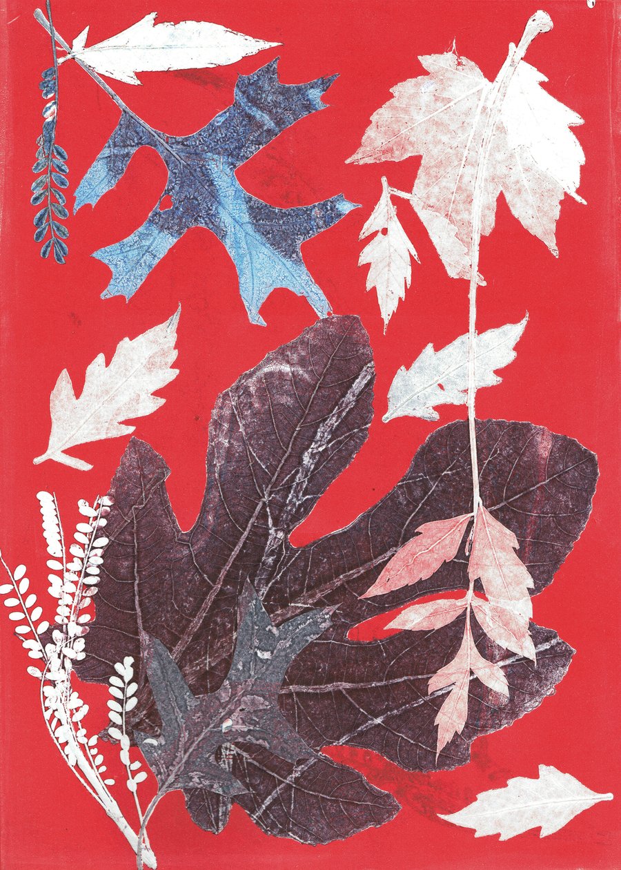 Jol XII, 2017 (monoprint op papier) door Stephen Dow