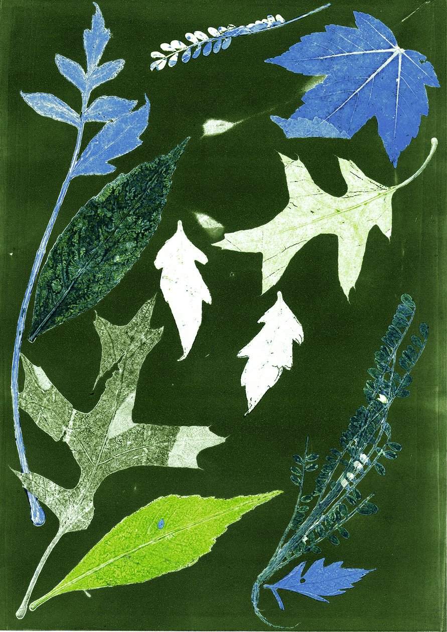 Jol X green, 2017 (digital) door Stephen Dow