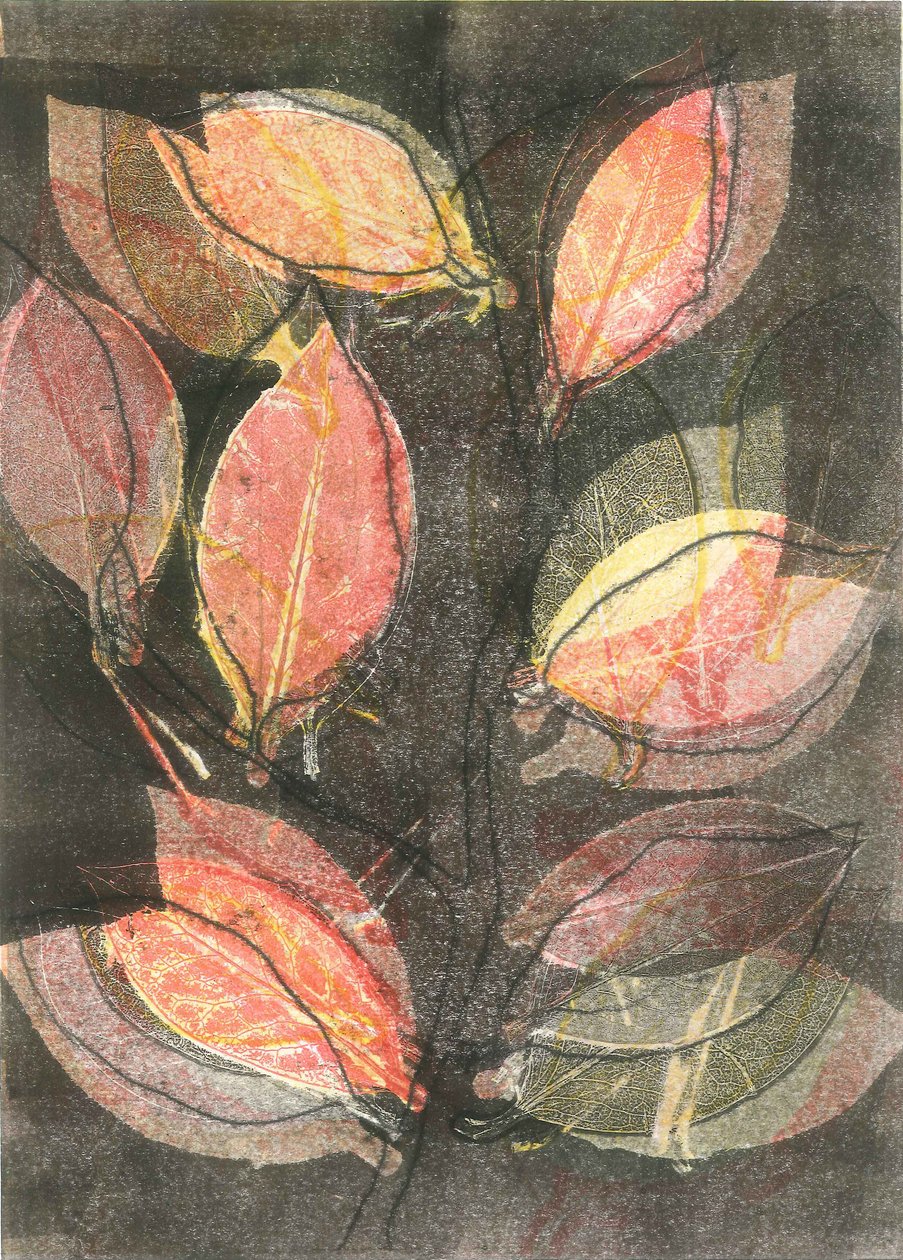 Midnight Garden V, 2015 (monoprint op papier) door Stephen Dow