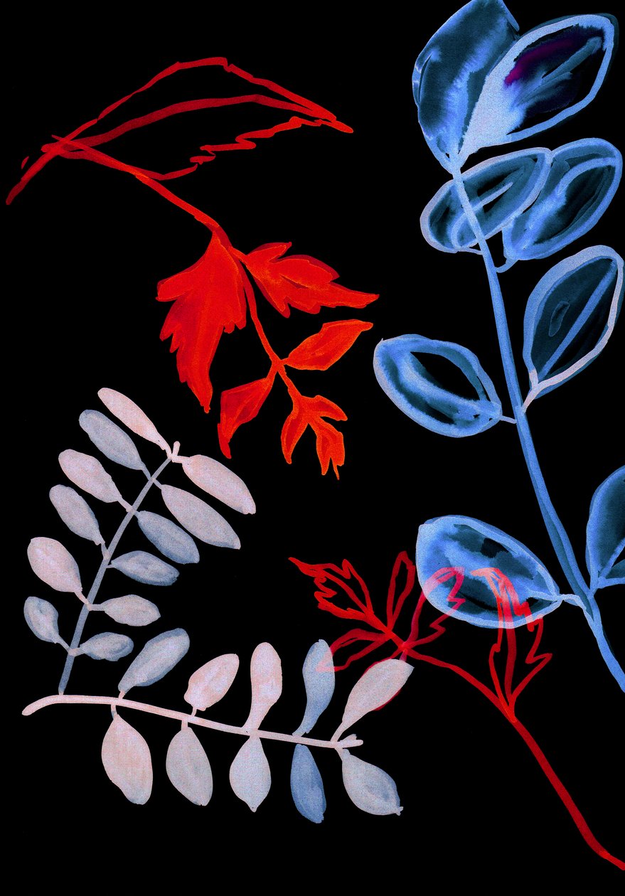 Nacht Flora IV, 2018 (digitaal) door Stephen Dow