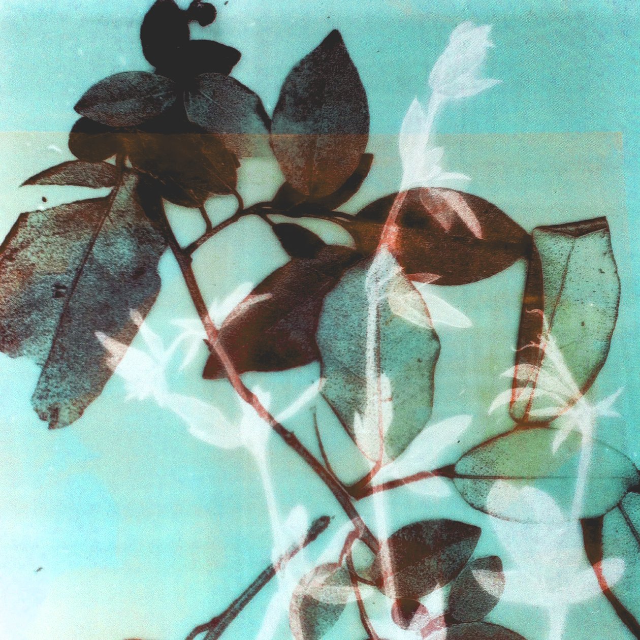 Seizoen III, 2018 (digitaal) door Stephen Dow