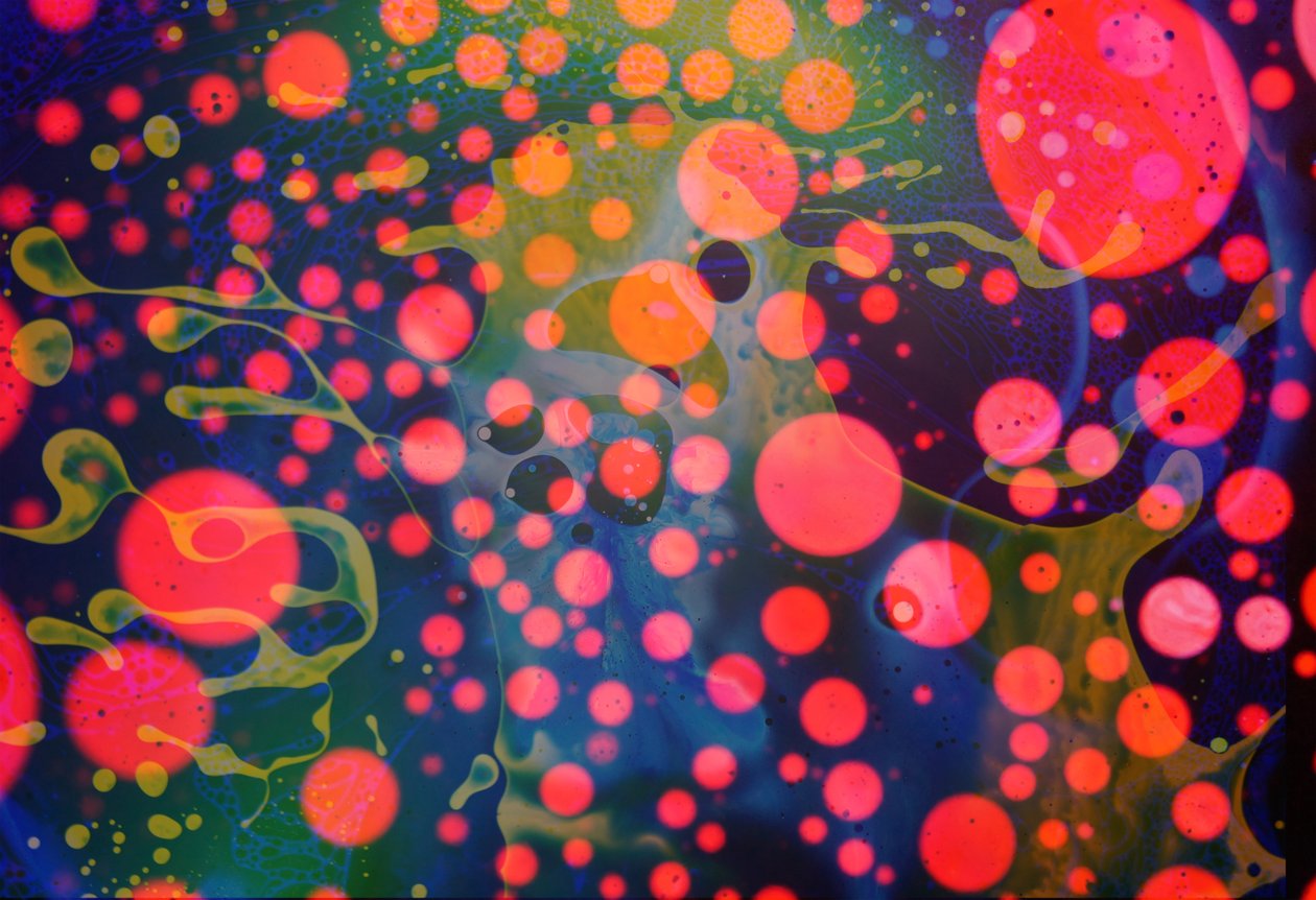 Splattermonster, 2024 door Steve Pavlovsky