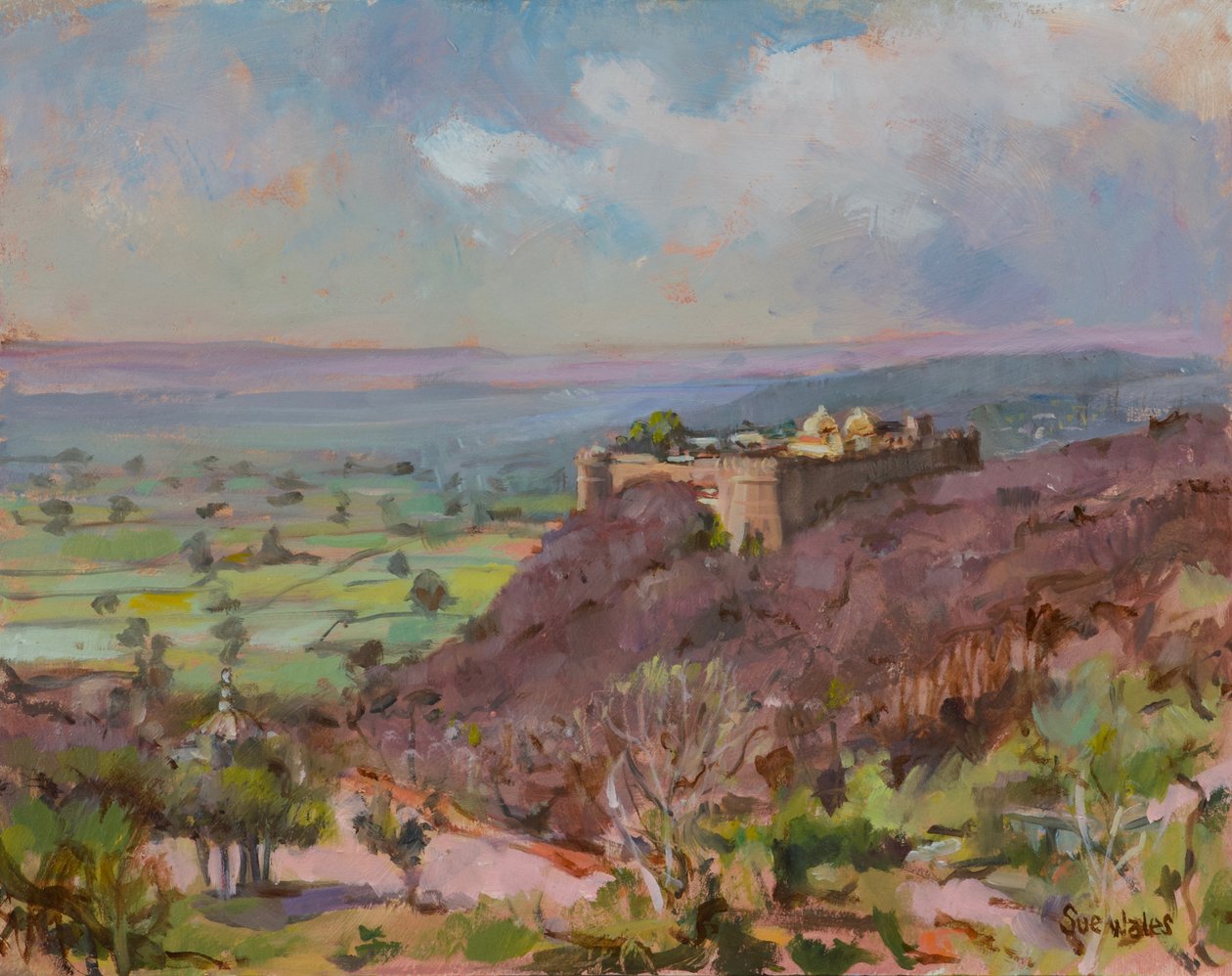 Ramathra Fort, 2019 door Sue Wales
