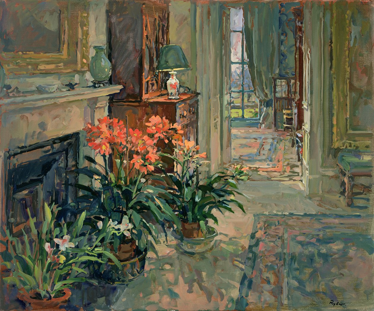 Clivia en Orchidee door Susan Ryder