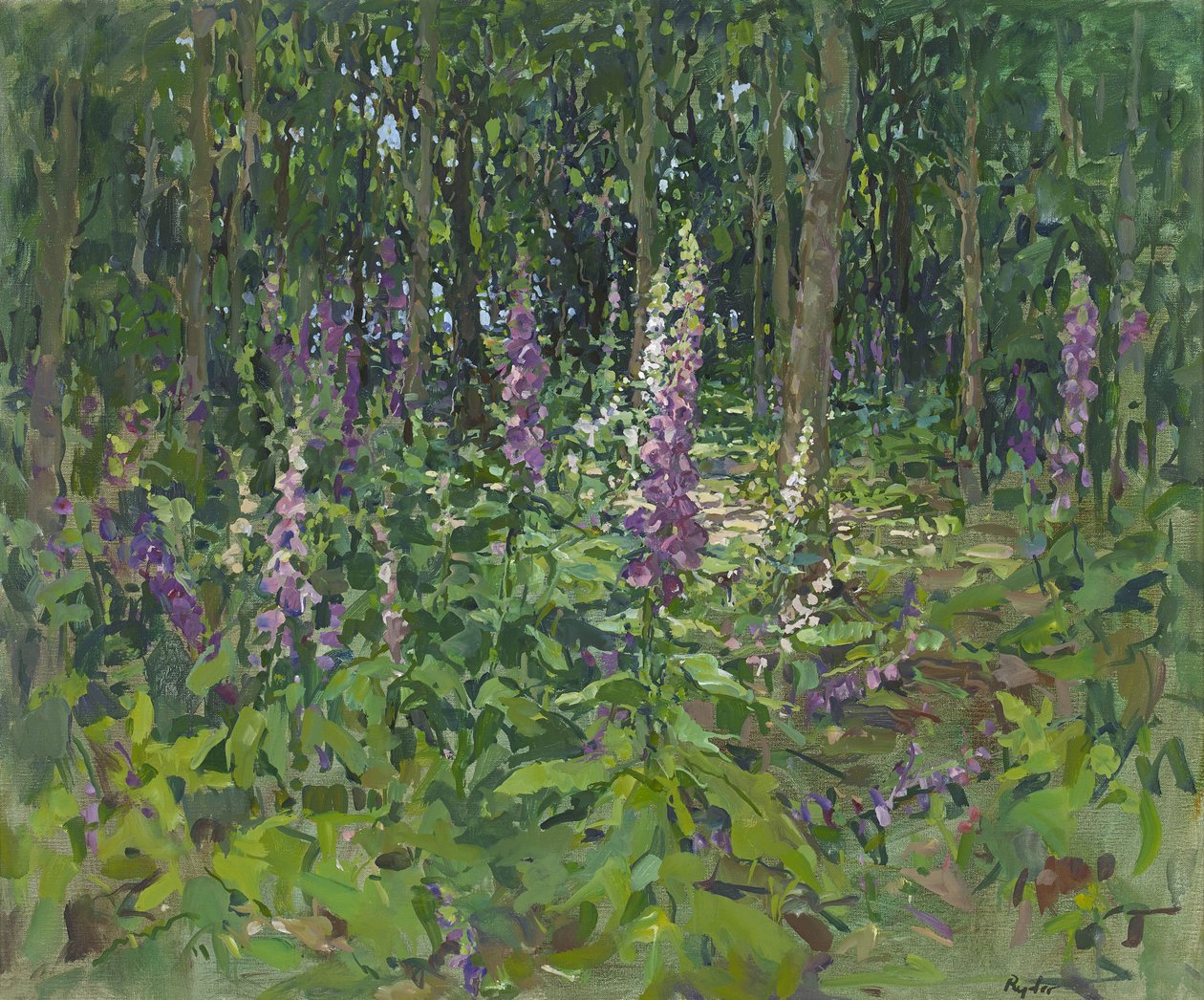 Vingerhoedskruid door Susan Ryder