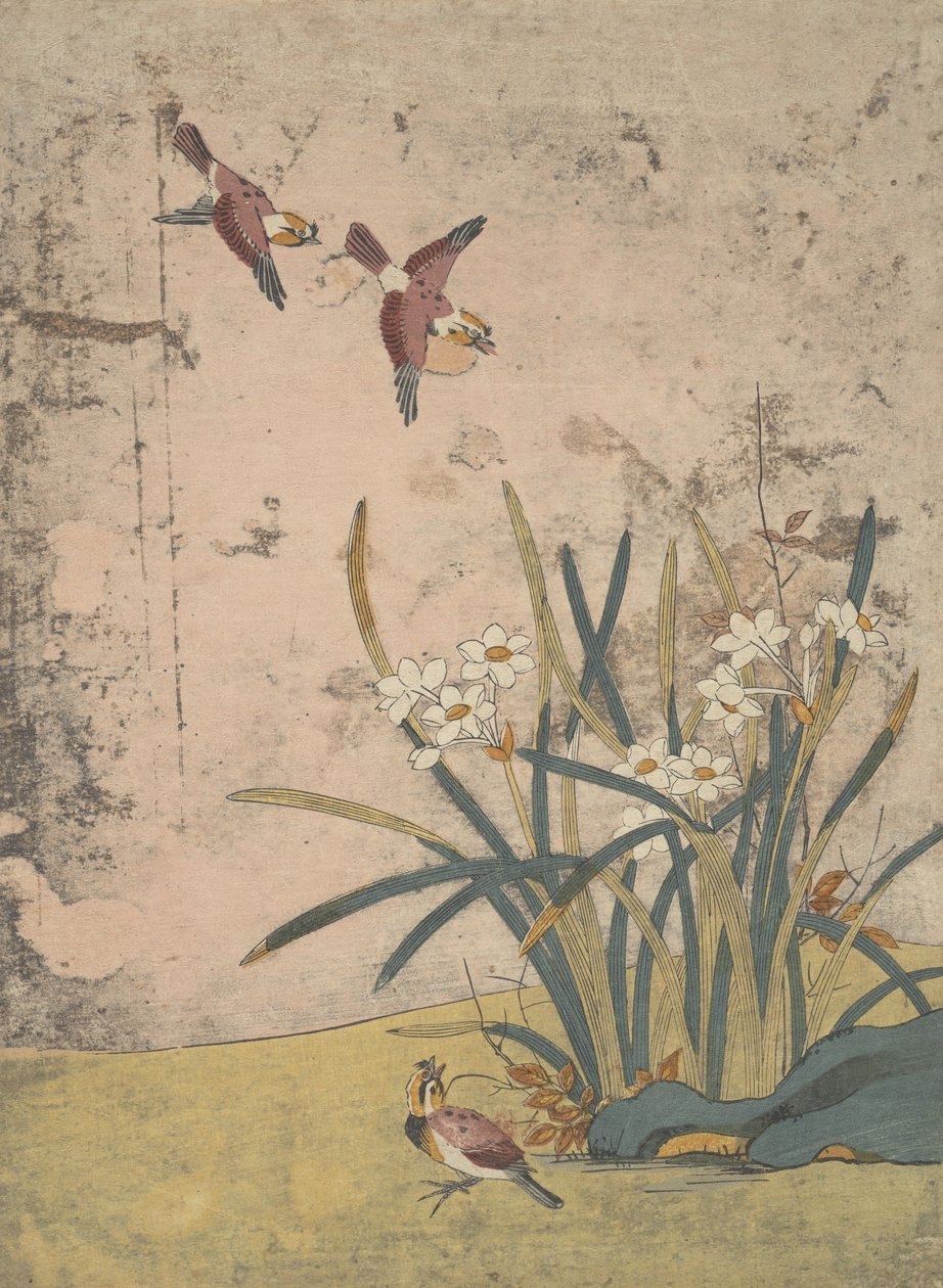 Vogels en narcissen door Suzuki Harunobu