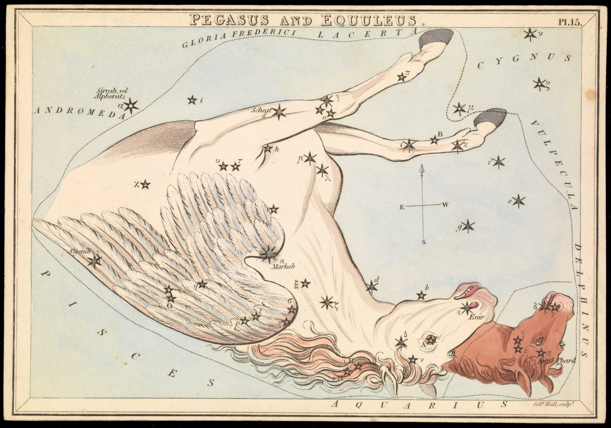 Pegasus en Equuleus, c.1825 door Sydney Hall