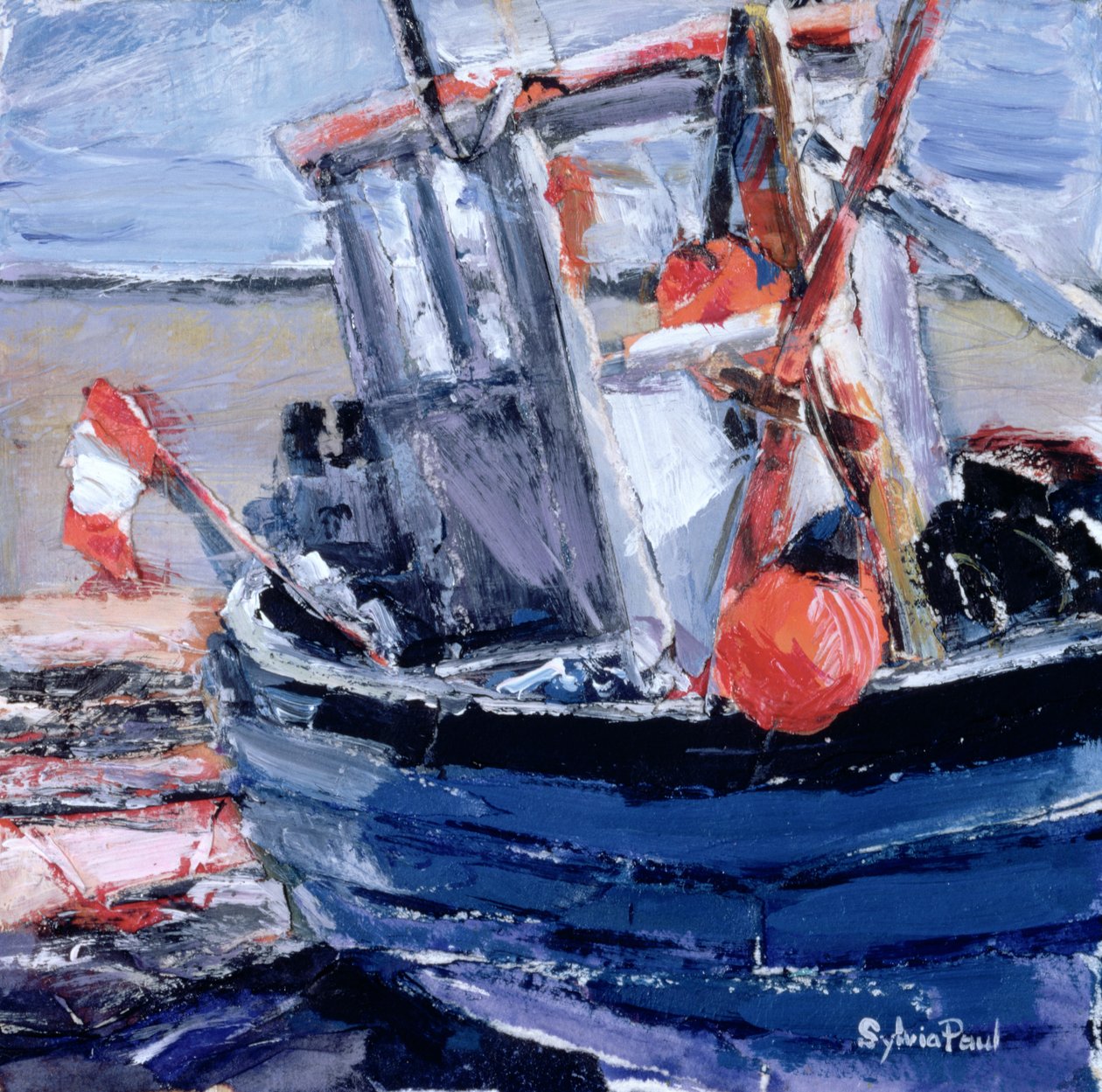 Boot met Rode Boei door Sylvia Paul