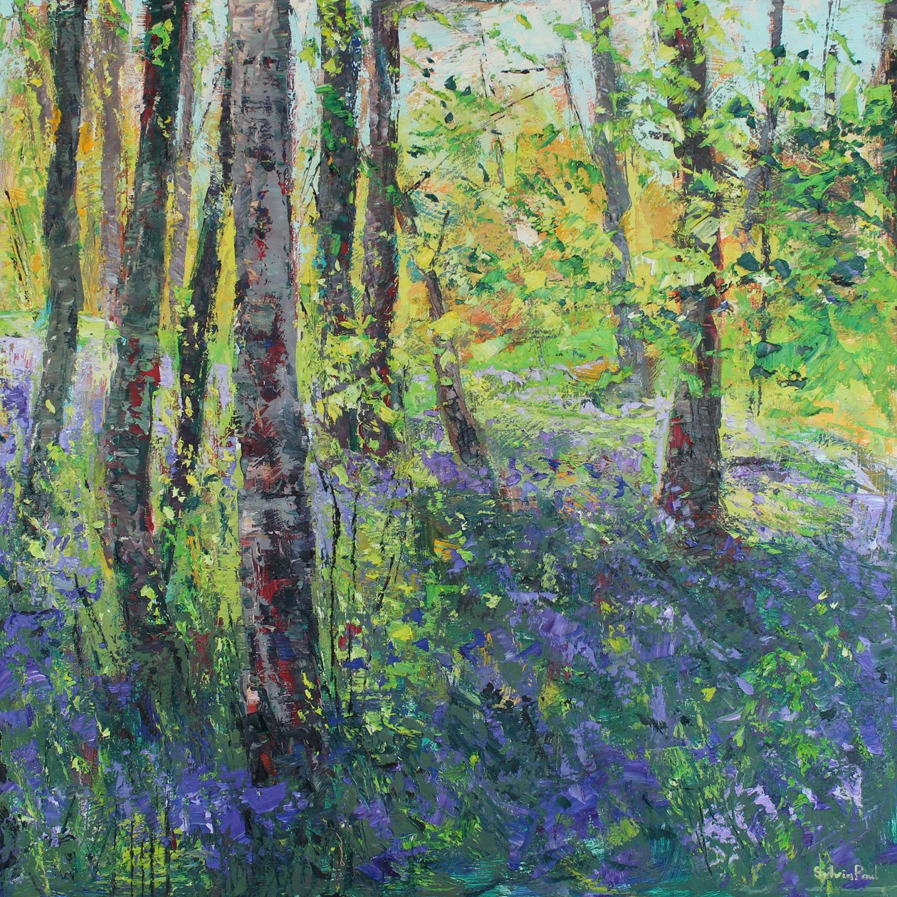 Berkenbomen en Blauwe Klokjes door Sylvia Paul