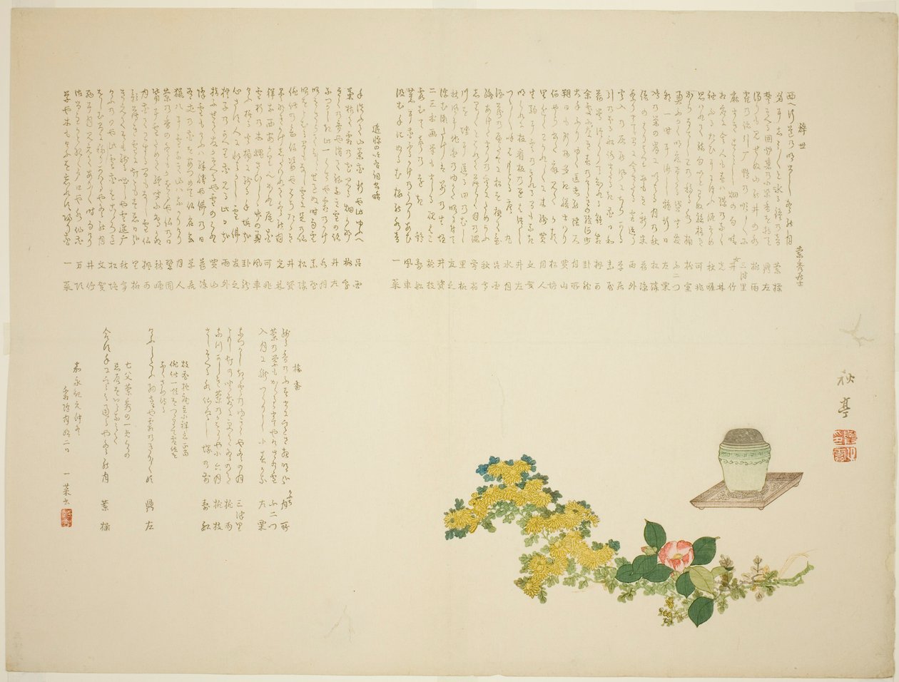 Wierookbrander. Chrysanten en camelia