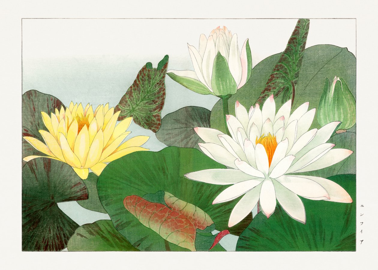 Nymphaea lotus van "Seiyou Sokazufu door Tanigami Konan