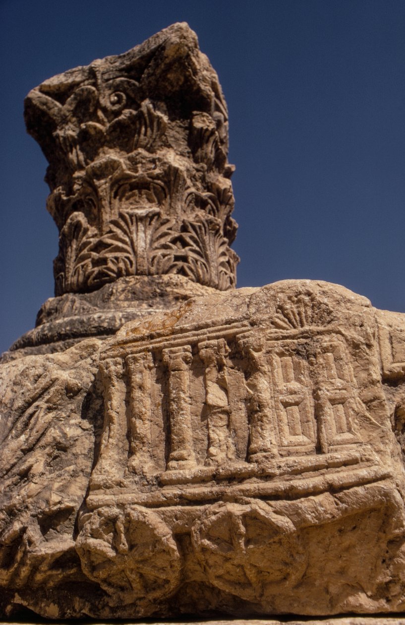 Synagoge Ruïnes in Kapernaüm, Israël door Ted Spiegel