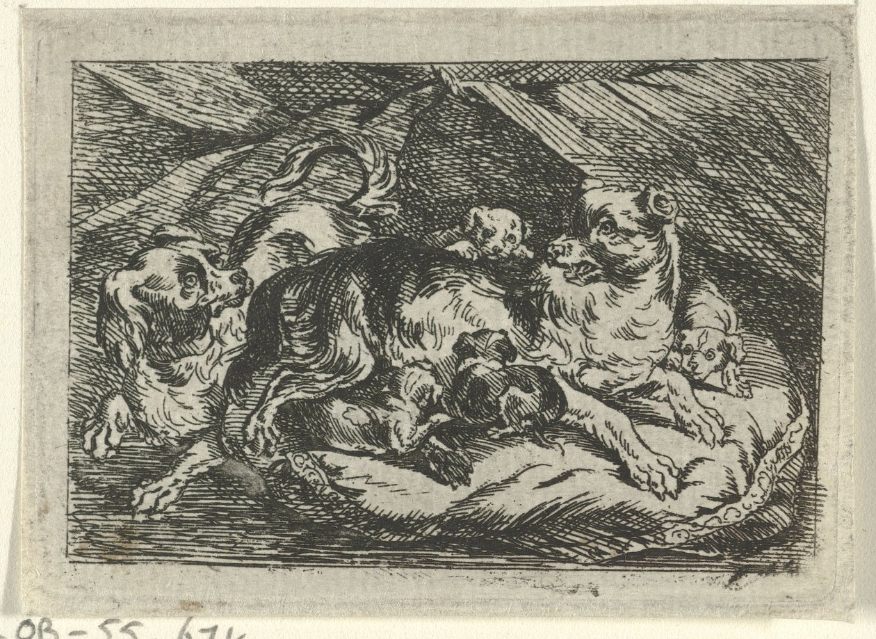 Nest met jonge hondjes door Tethart Philip Christian Haag