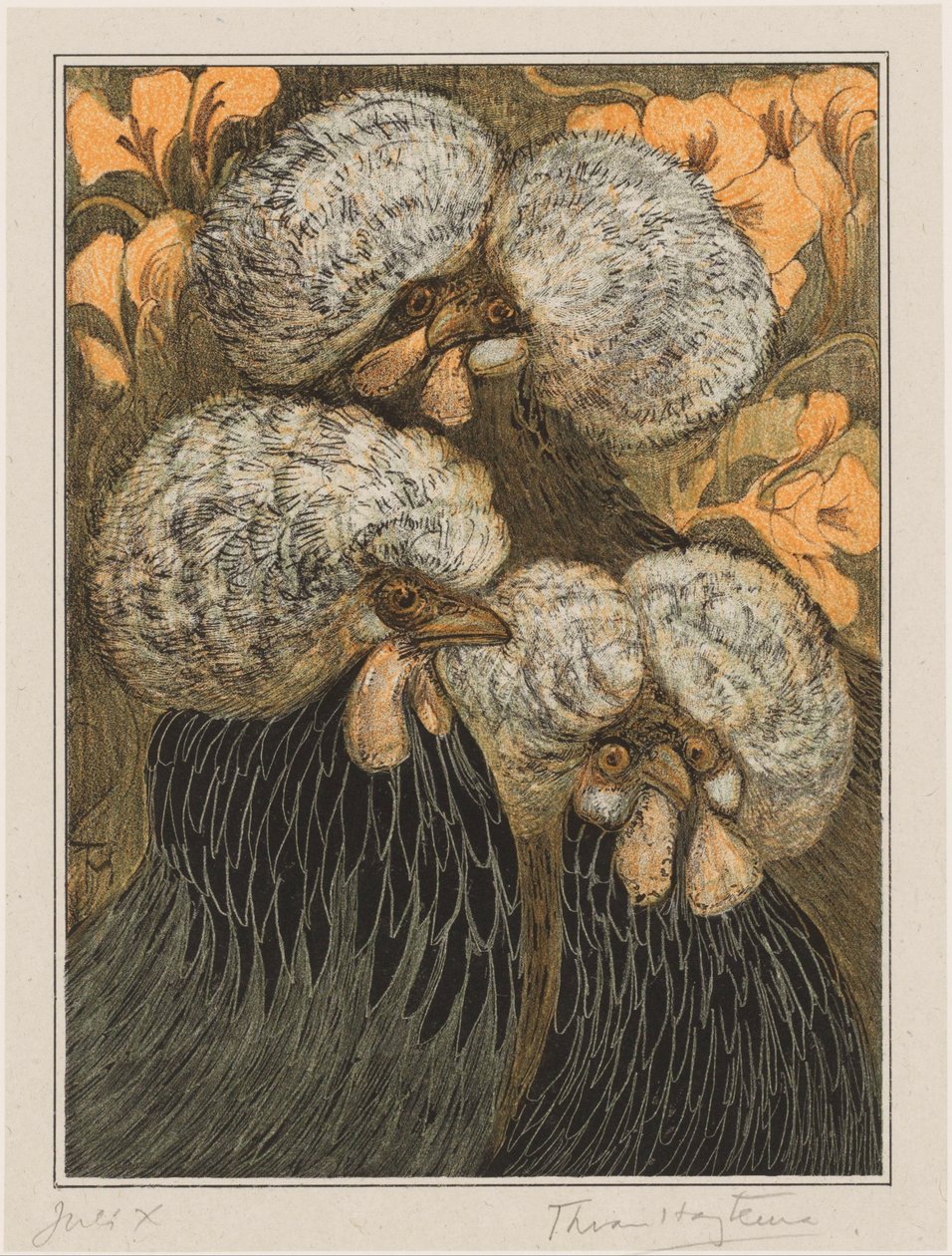 Drie kuifkippen door Theo van Hoytema (signed by artist)