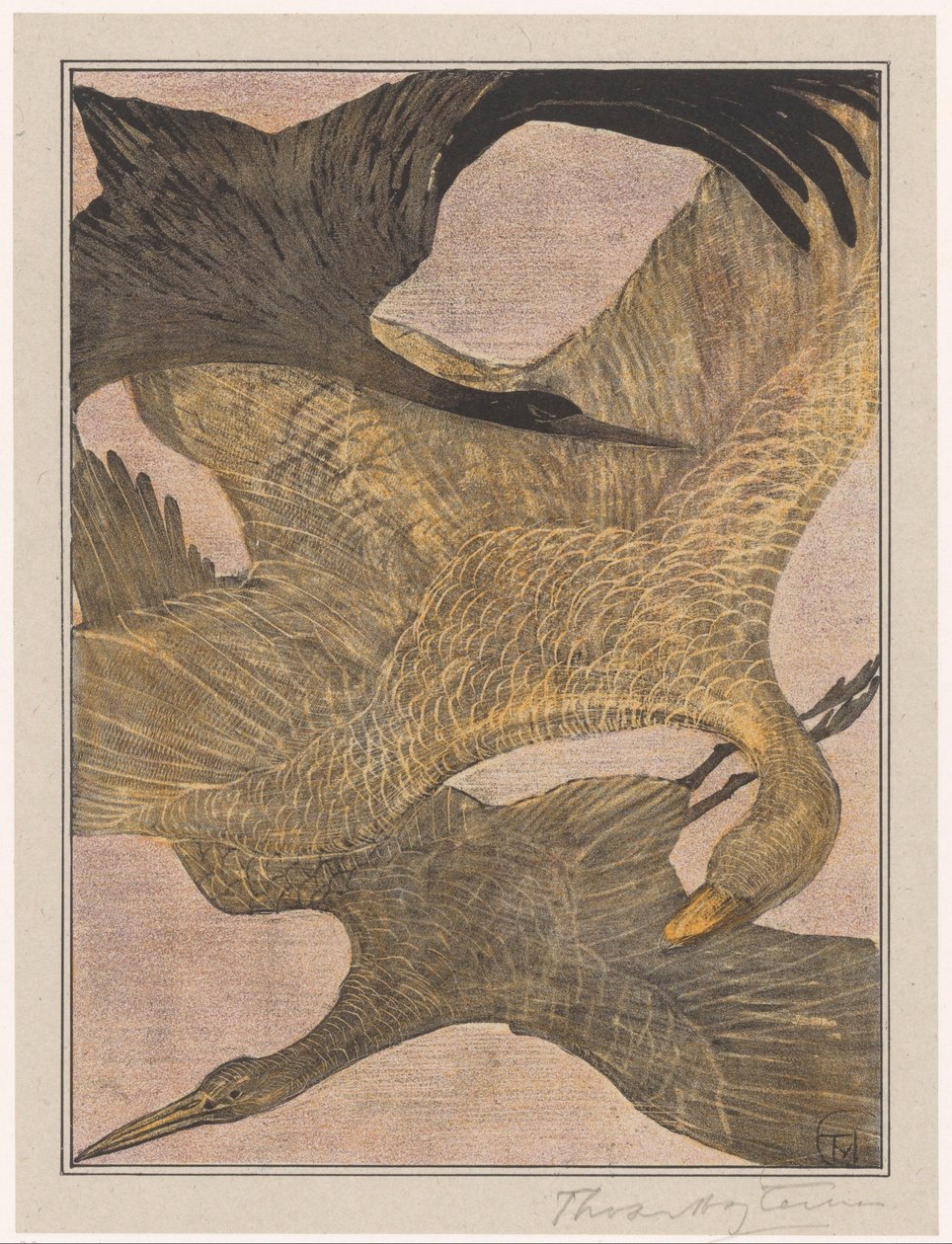 Drie vliegende vogels door Theo van Hoytema (signed by artist)