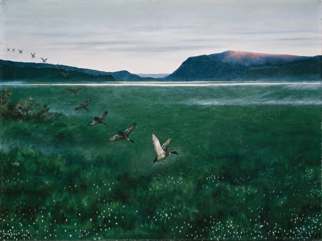 De twaalf wilde eenden door Theodor Kittelsen