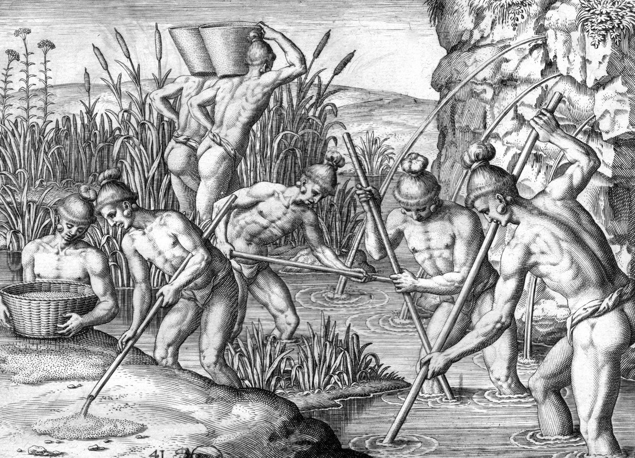 Timucua Indiaan verzamelt goud door Theodor de Bry