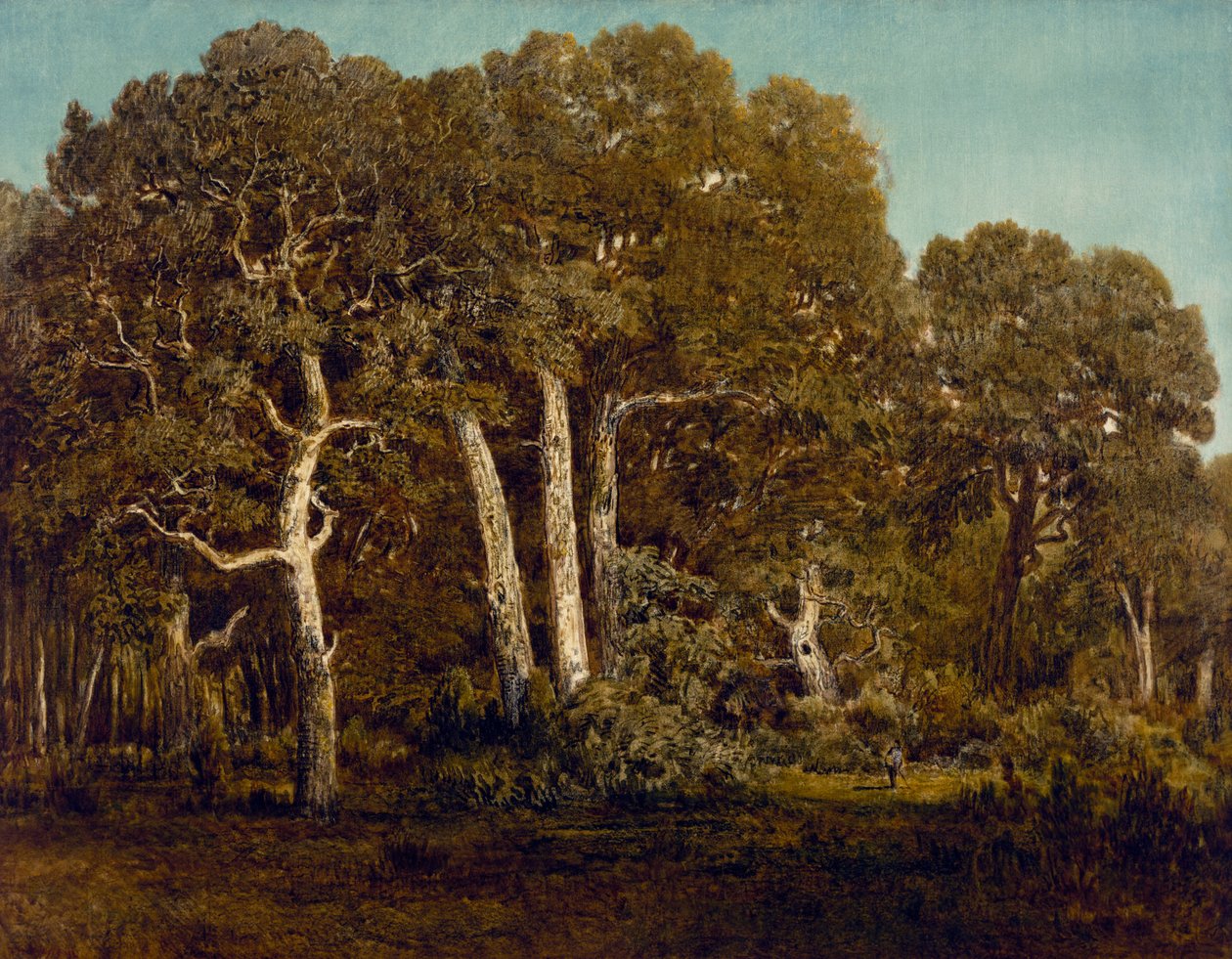 De grote eiken van Oud Bas-Breau, 1864 door Pierre Etienne Theodore Rousseau