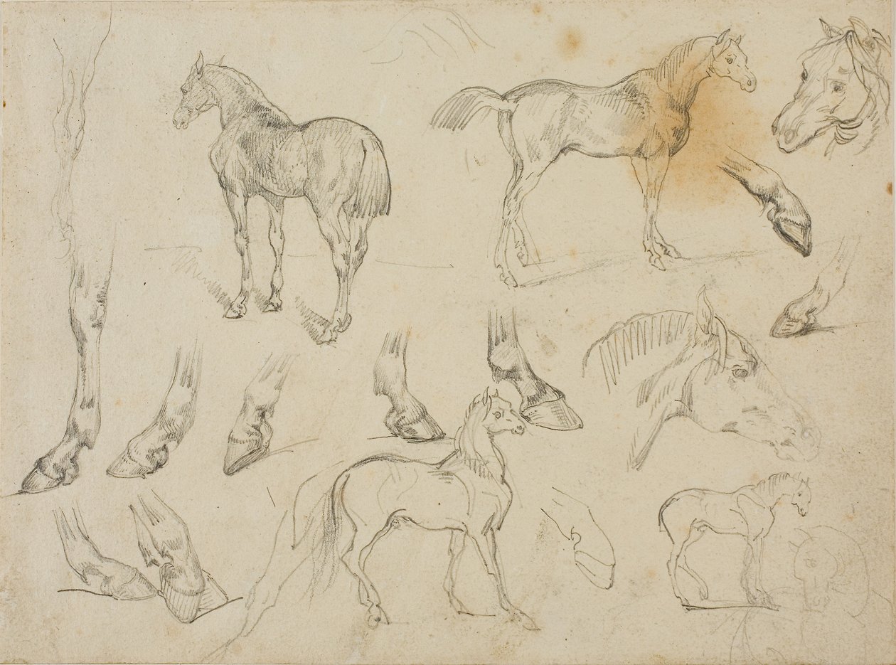 Schetsen van een Paard door Theodore Gericault