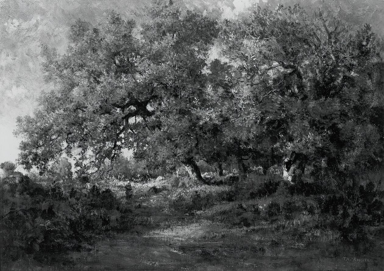 Landschap door Theodore Rousseau