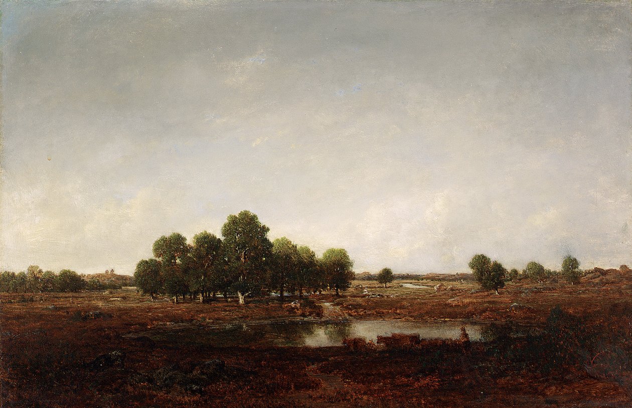 Landschap met moeras door Pierre Etienne Theodore Rousseau