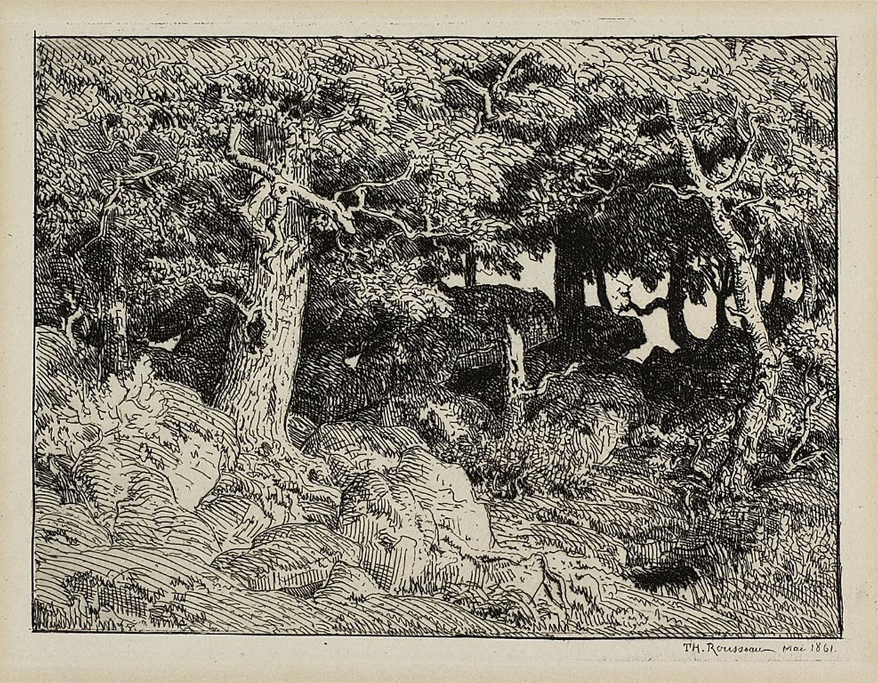 Eik van rotsen door Theodore Rousseau