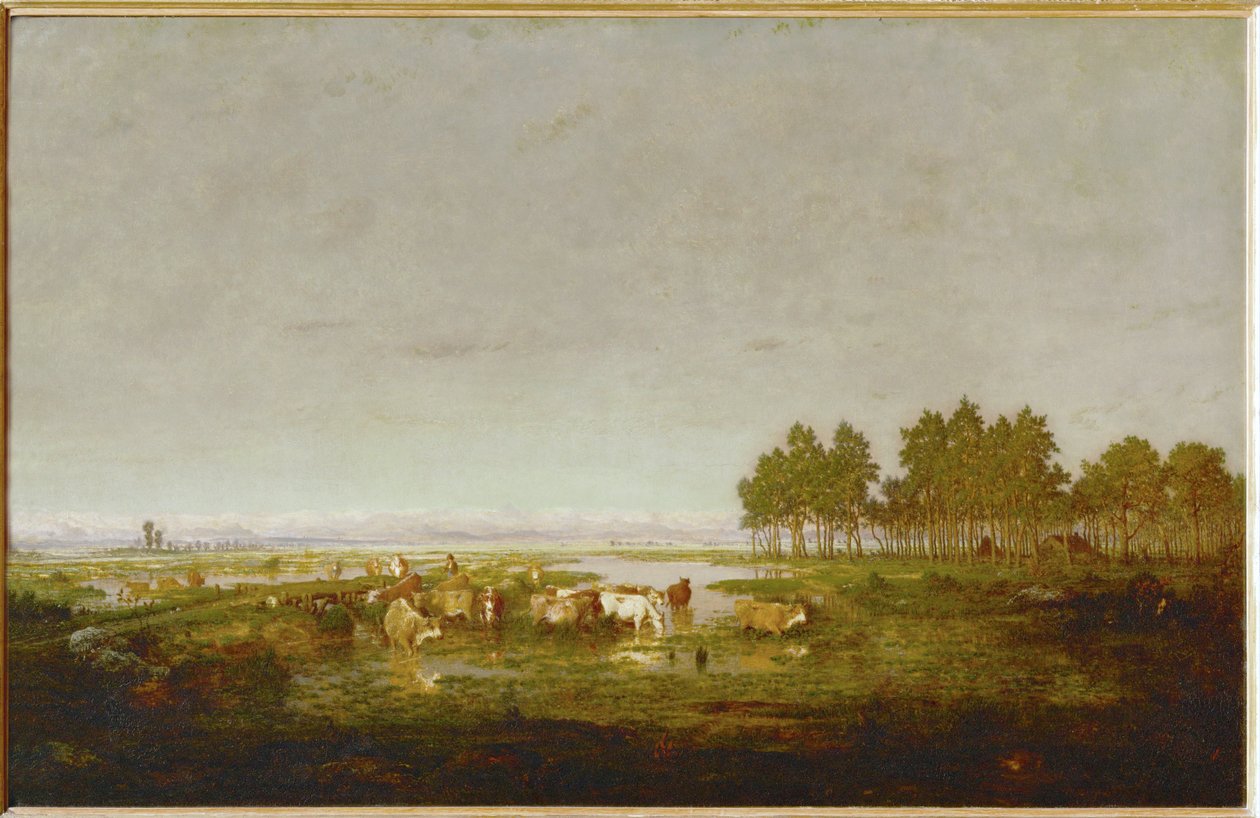 Een moeras in de Landes ... door Theodore Rousseau
