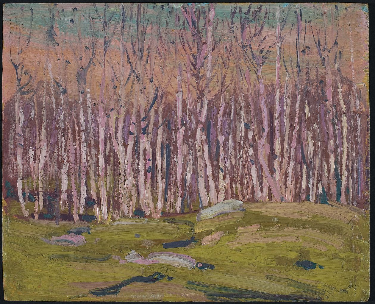Zilveren Berken door Tom Thomson