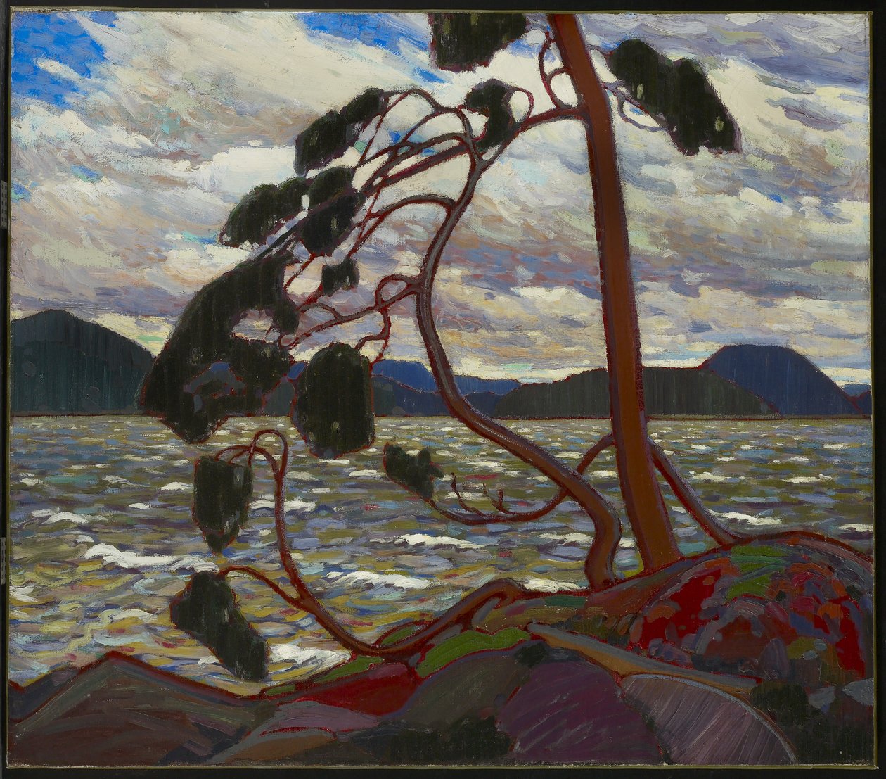 De westenwind, winter 1916-17 door Tom Thomson