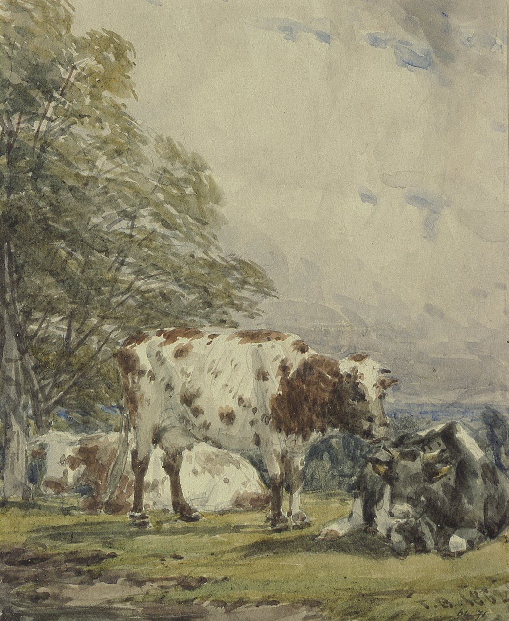 Een studie van vee door Thomas Baker