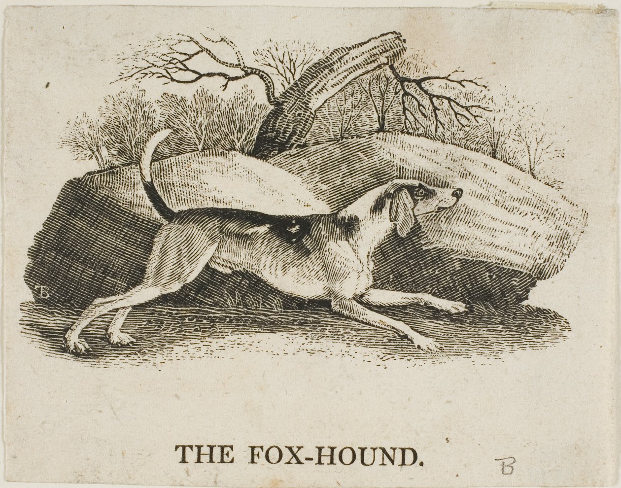 Vosshond door Thomas Bewick