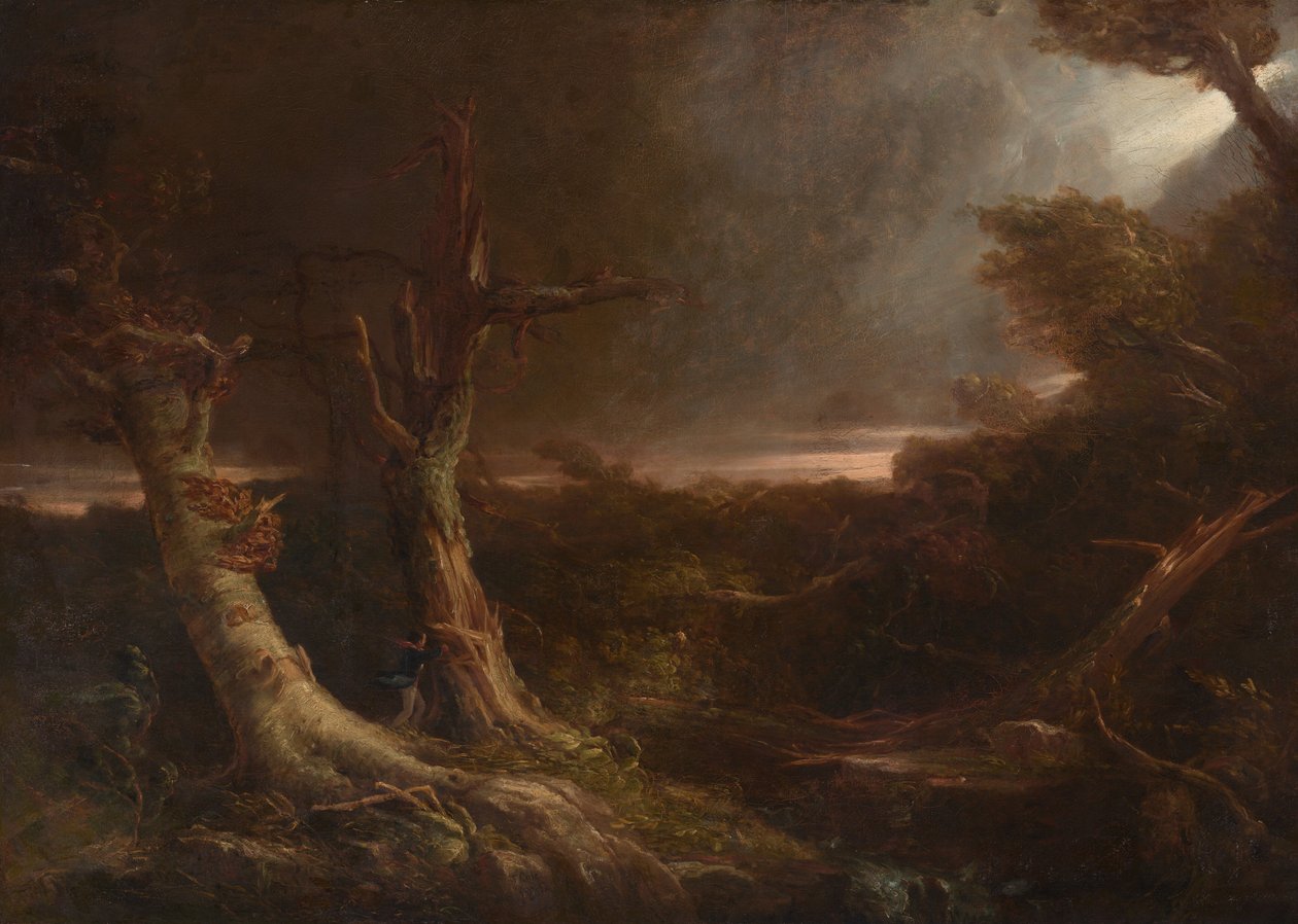 Tornado in een Amerikaans Bos door Thomas Cole