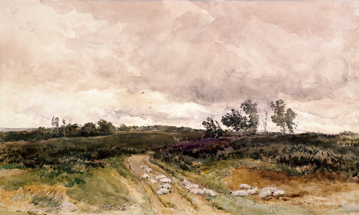 Heidescène, 1878 door Thomas Collier