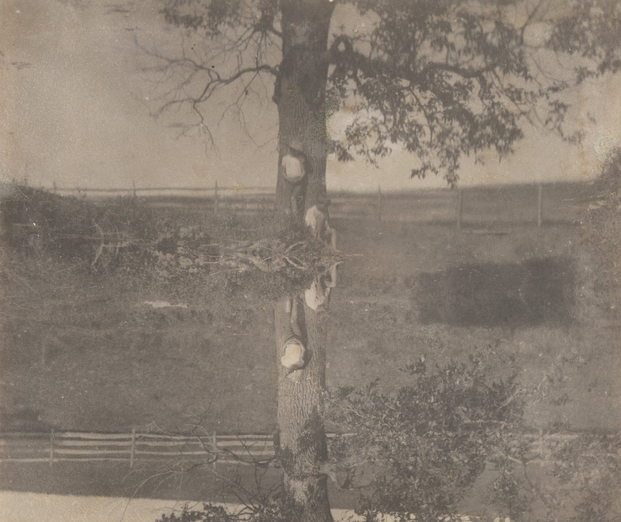 [Crowell Children in Avondale, Pennsylvania]. door Thomas Eakins