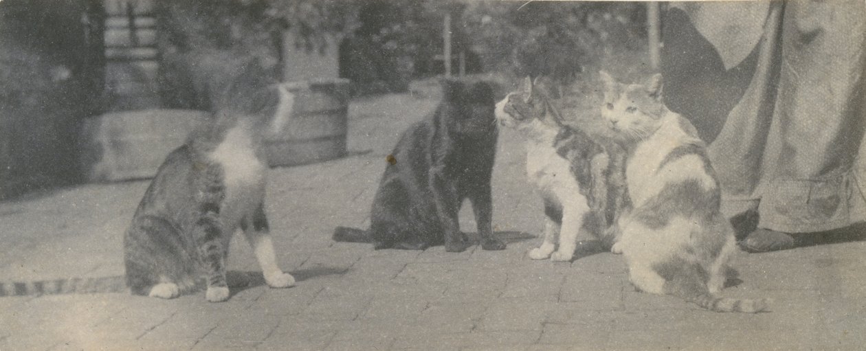 Vier katten door Thomas Eakins