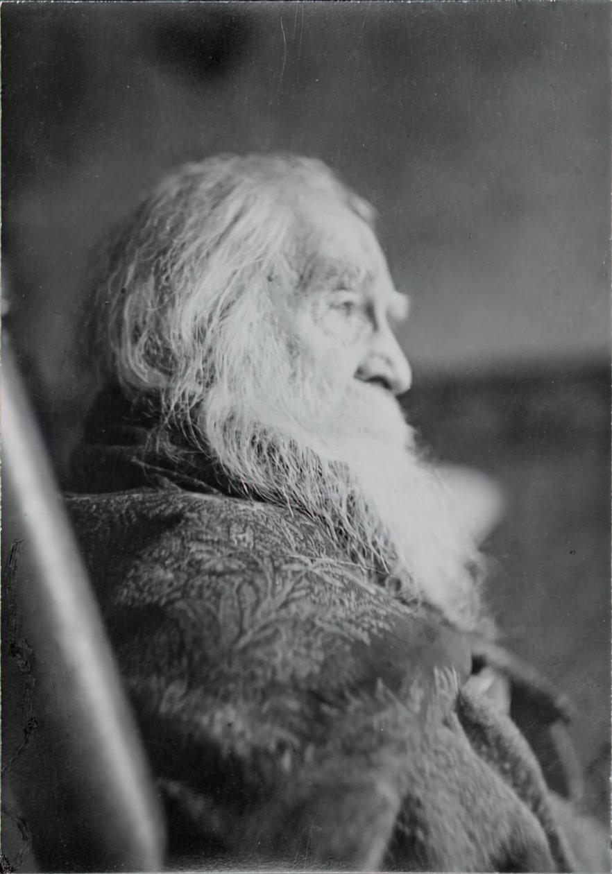 Walt Whitman in Camden, N.J. door Thomas Eakins