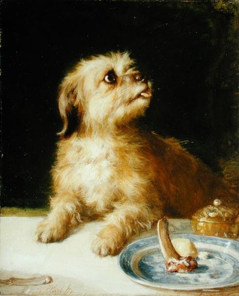 Norfolk Terrier door Thomas Earl